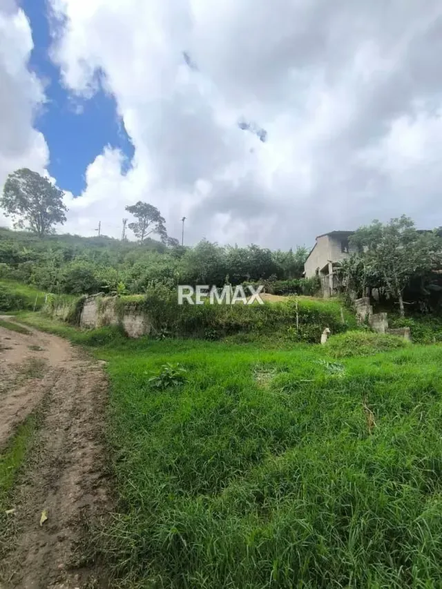 EN VENTA Junco, sector Capachito. Cuenta con 1.334 m² de Terreno - 2