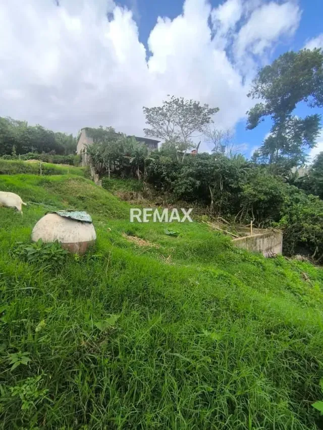 EN VENTA Junco, sector Capachito. Cuenta con 1.334 m² de Terreno - 3