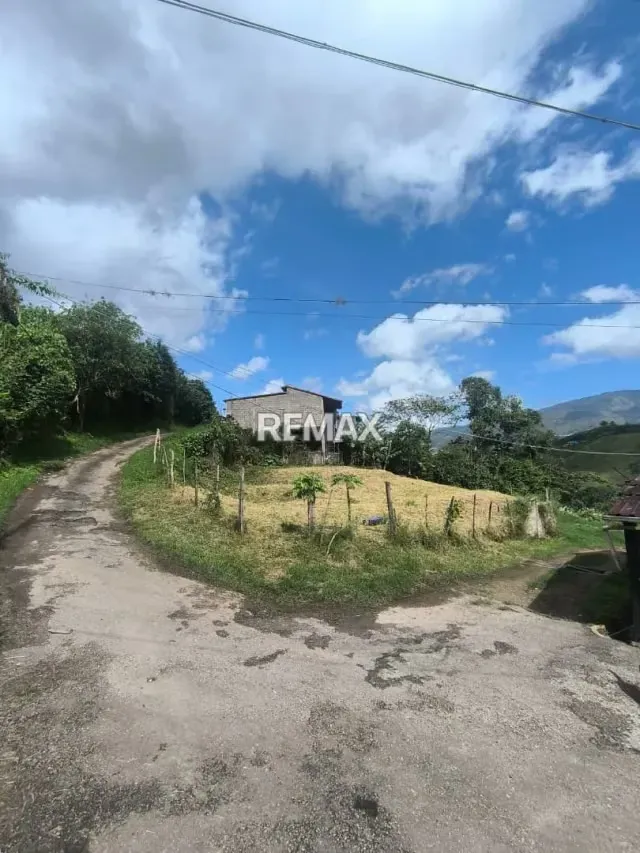 EN VENTA Junco, sector Capachito. Cuenta con 1.334 m² de Terreno - 5