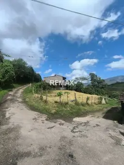 Vista 5