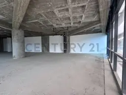 Vista 4