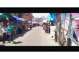 Vista 4