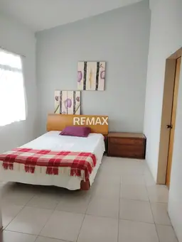 Vista 15