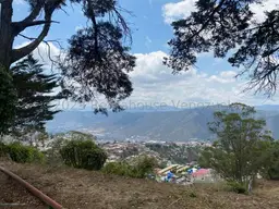 Vista 33