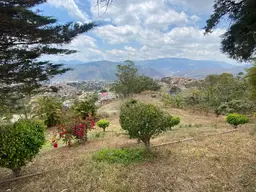 Vista 62