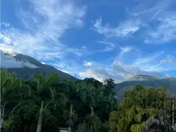 Vista 12