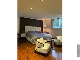 Vista 24