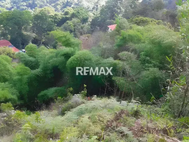 Terreno en Venta, San Diego de los Altos - 4