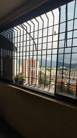 Vista 3