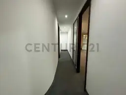 Vista 20