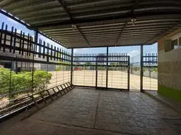 Vista 19