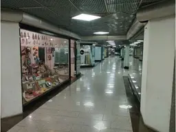 Vista 1