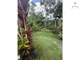Vista 36