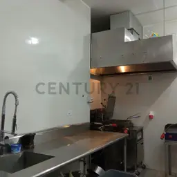 Vista 6
