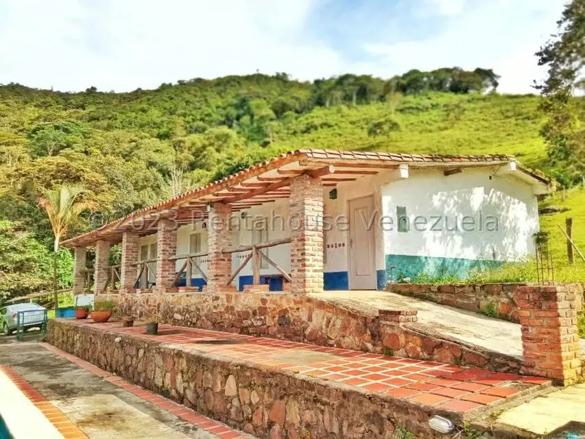 Terreno (Finca) en Venta en Tachira, Tachira - 2
