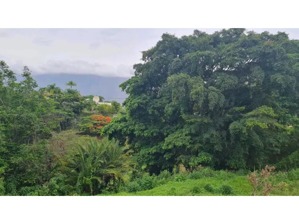 Vendo terreno c/ vista al Ávila 2200m2 Valle Arriba 7833 - 11