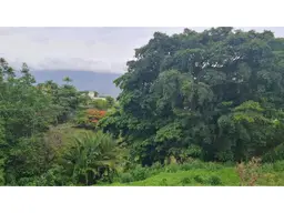 Vista 11
