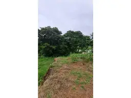 Vista 5