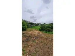 Vista 10