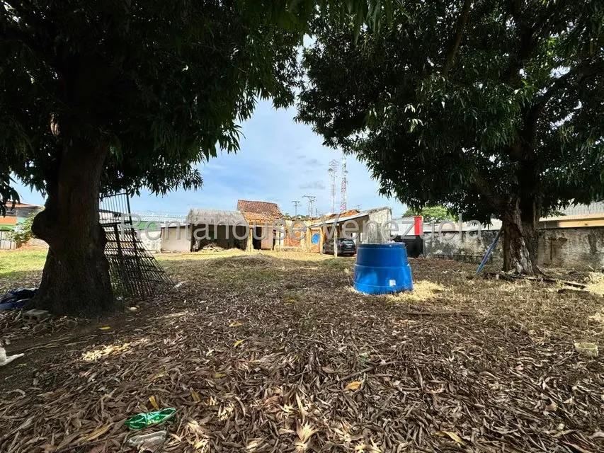 Terreno (Comercial) en Venta en Centro, Portuguesa - 3