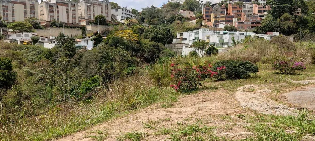 CD. Terreno Residencial en la Urb Lomas de la Trinidad. - 2