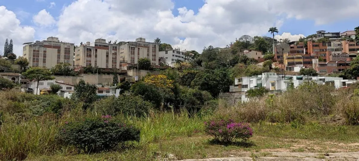CD. Terreno Residencial en la Urb Lomas de la Trinidad. - 5