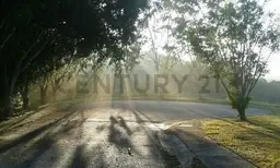 View 6