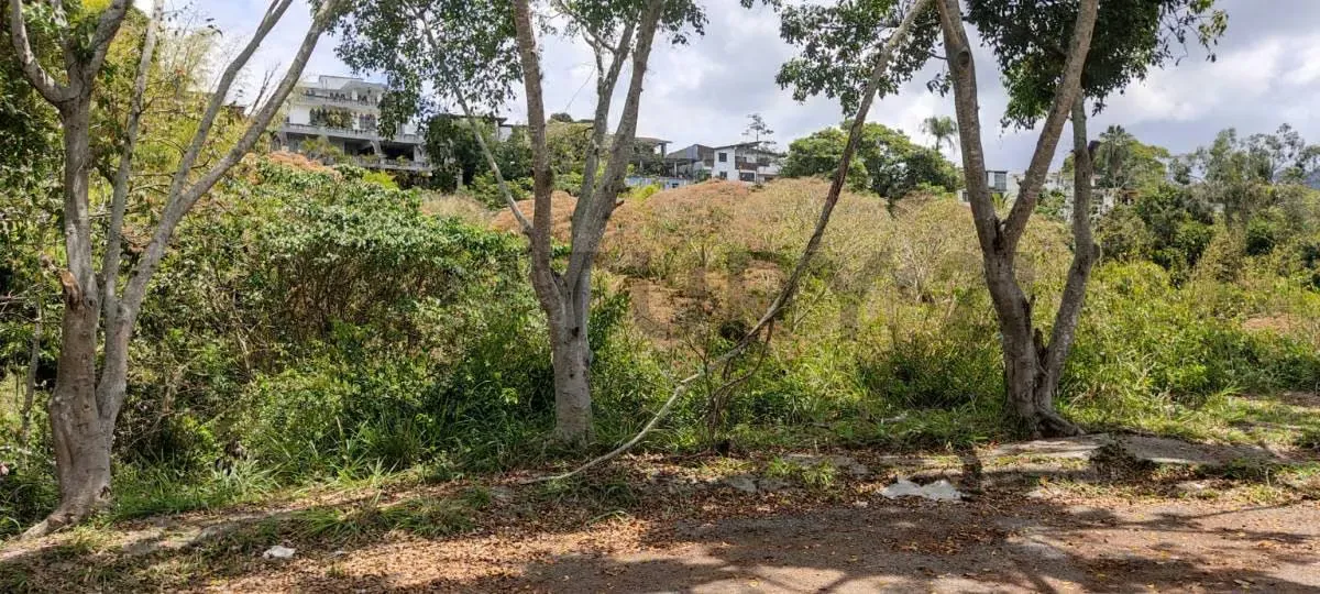 CD. Terreno Residencial en la Urb Lomas de la Trinidad. - 9