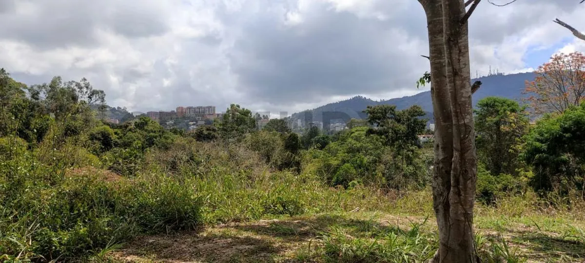 CD. Terreno Residencial en la Urb Lomas de la Trinidad. - 10