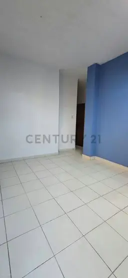 View 14