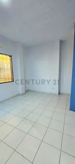 View 15
