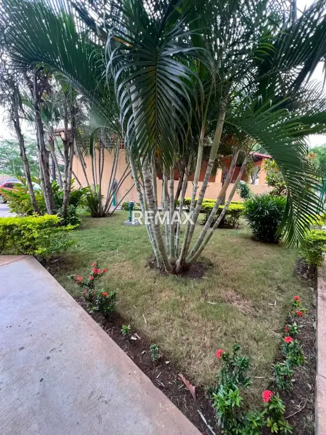 SE VENDE APARTAMENTO MODERNO EN RESIDENCIAS LAS PALMERAS SECTOR LAS PALMERAS LECHERÍA VENEZUELA - 14