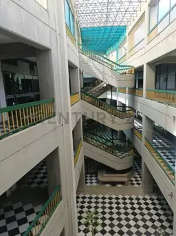 Vista 1