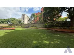 Vista 41