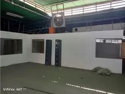 Vista 5