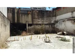 Vista 6