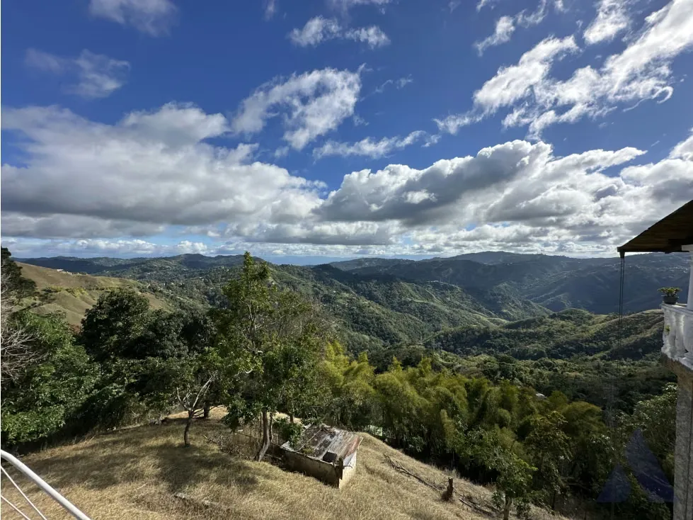 Se alquila casa 300m2 Los Guayabitos 3715 - 2