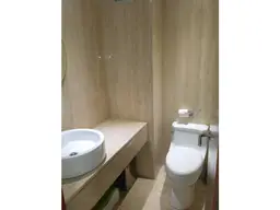 Vista 31