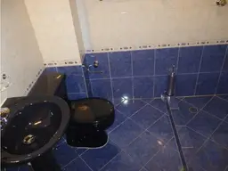 Vista 16