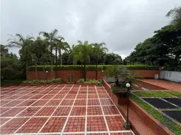 Vista 37