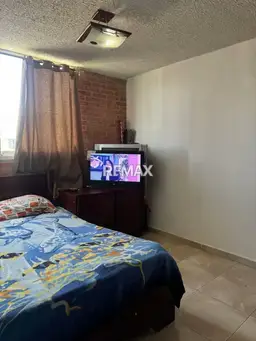 Vista 18