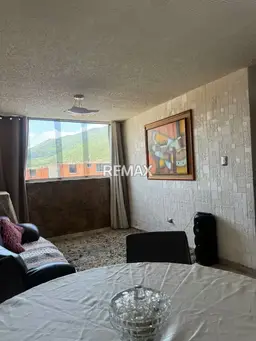 Vista 5