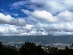Vista 12