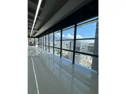 Vista 5