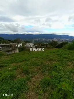 Vista 4