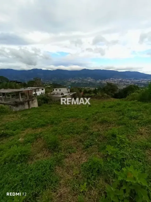 Venta de Terreno Ubicado en El Abejal de Palmira, Municipio Guasimos, San Cristóbal Estado Táchira, Sector Aldea El Abejal - 8