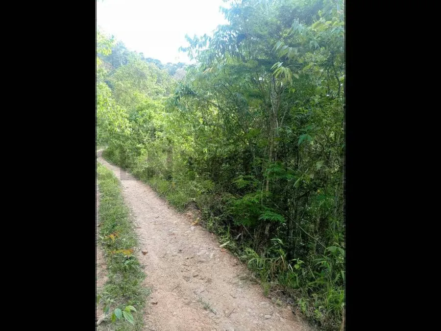 Terreno en venta res o agrícola Sabaneta en el Hatillo Caracas - 2