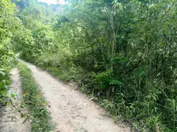 Vista 3