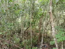 Vista 4