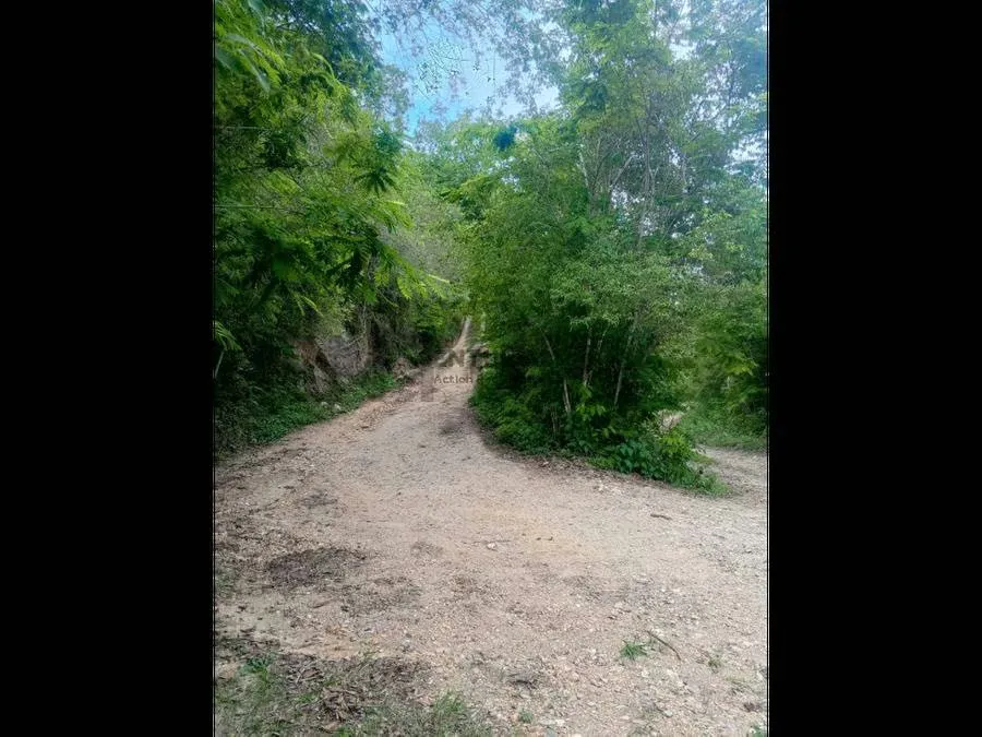 Terreno en venta res o agrícola Sabaneta en el Hatillo Caracas - 6